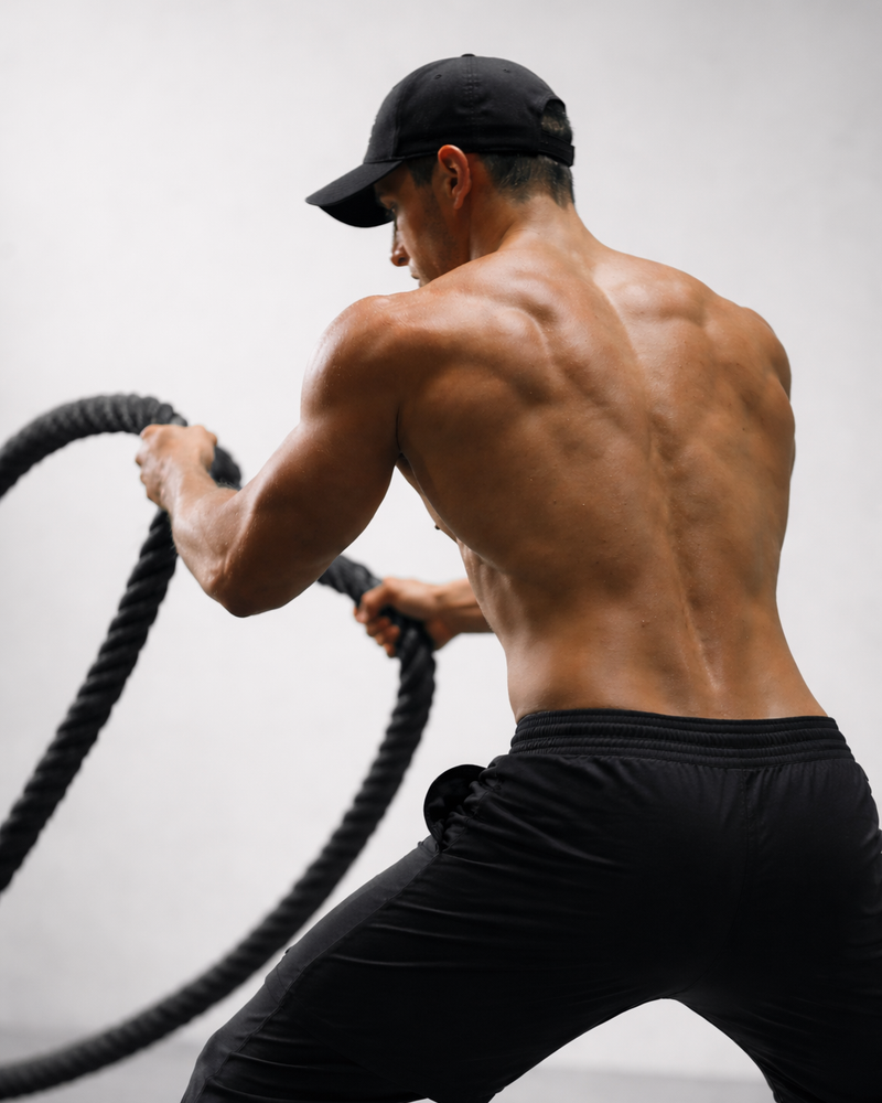 Performance & Recovery