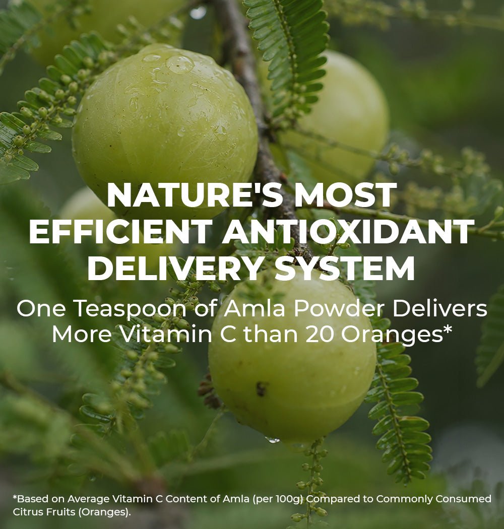 Organic Amla Powder - Nuolyf