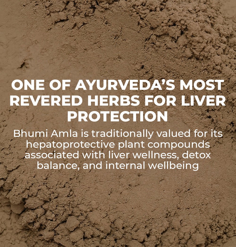 Organic Bhumi Amla Powder - Nuolyf