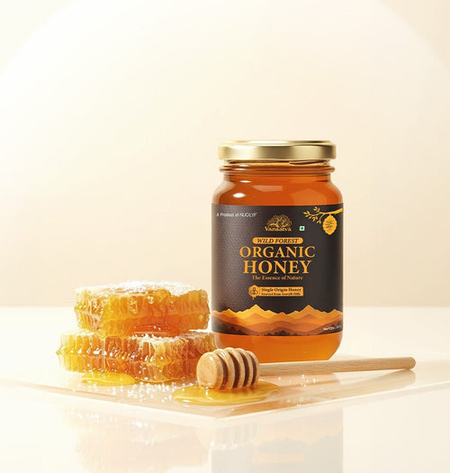 Jar of wild forest organic honey with honeycomb and dipper on a light background